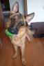 Mailo (Henry)