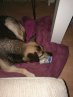 Lilly