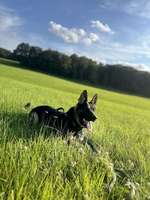 Mila